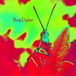 bug_dylan