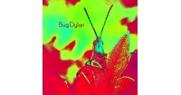 bug dylan