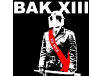 052-bak xiii - vae victis