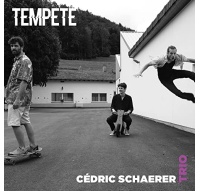 cedric schaerer trio -tempete 