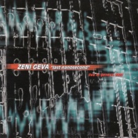 015-zeni_geva_-_last_nanosecond